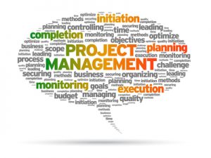 Project Management speech bubble illustration on white background.